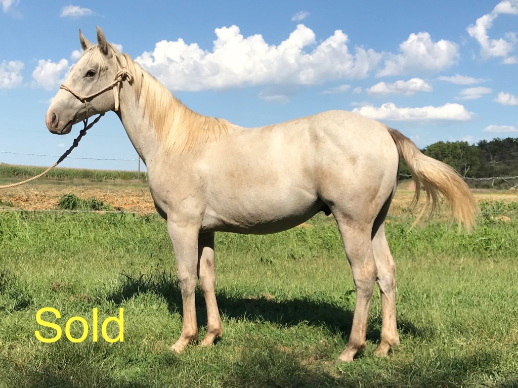 PG Six Bee 6947&nbsp;(Sold)