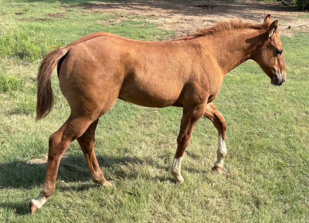 PG Six Bee&nbsp;111724